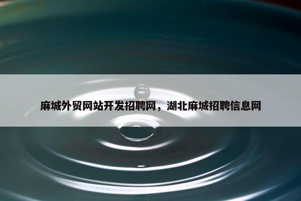 麻城外贸网站开发招聘网，湖北麻城招聘信息网