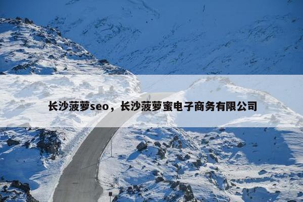 长沙菠萝seo，长沙菠萝蜜电子商务有限公司