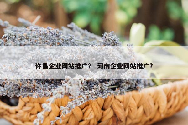 许昌企业网站推广？ 河南企业网站推广？
