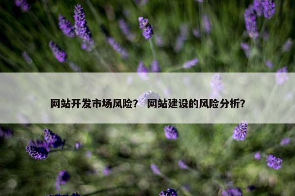 网站开发市场风险？ 网站建设的风险分析？