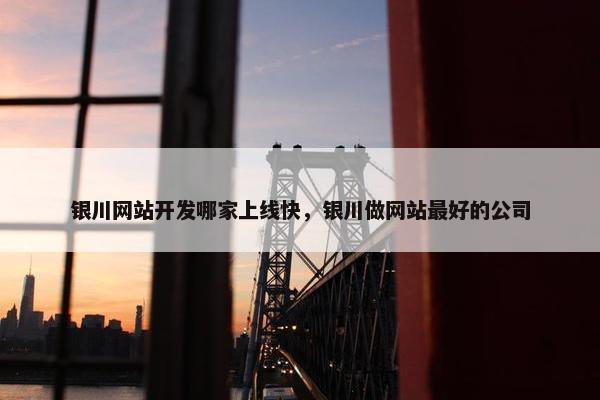 银川网站开发哪家上线快，银川做网站最好的公司