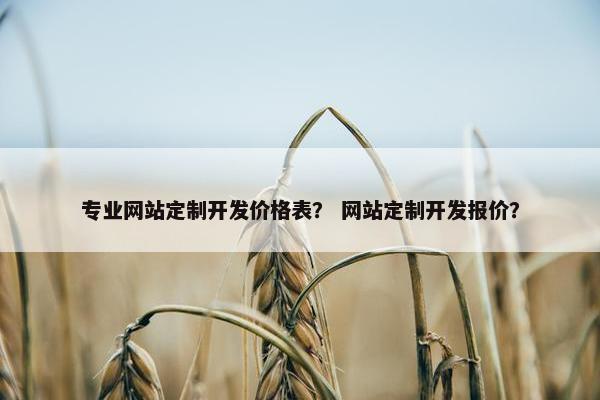 专业网站定制开发价格表？ 网站定制开发报价？