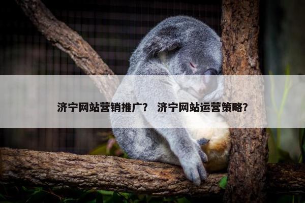 济宁网站营销推广？ 济宁网站运营策略？