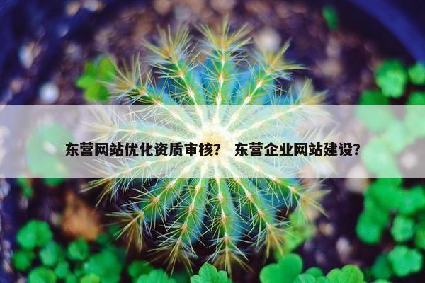 东营网站优化资质审核？ 东营企业网站建设？