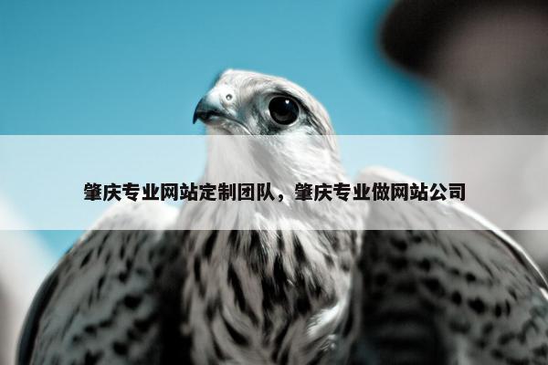 肇庆专业网站定制团队，肇庆专业做网站公司