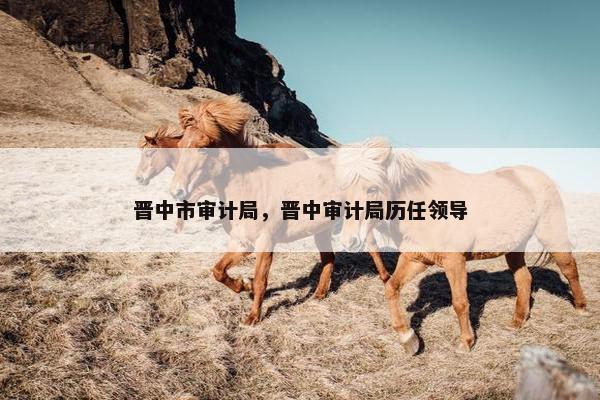 晋中市审计局，晋中审计局历任领导