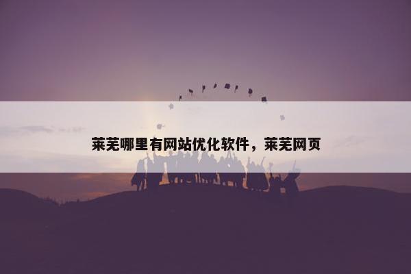 莱芜哪里有网站优化软件，莱芜网页