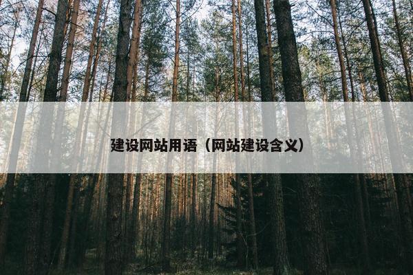 建设网站用语（网站建设含义）
