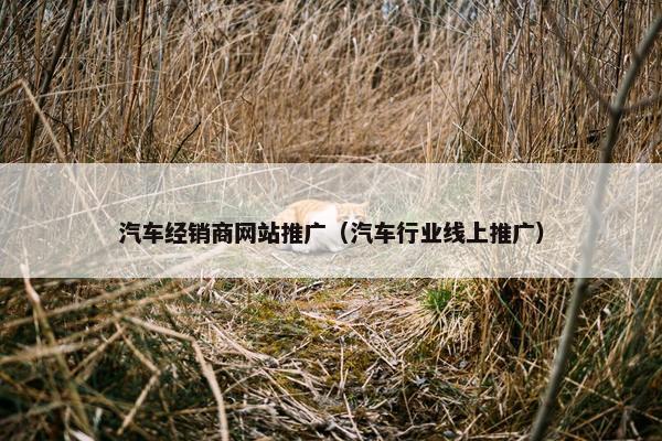 汽车经销商网站推广（汽车行业线上推广）