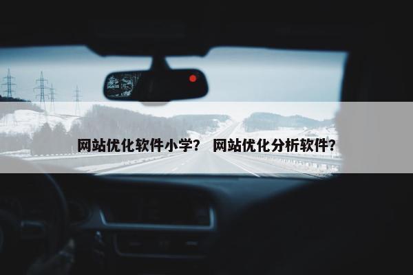网站优化软件小学？ 网站优化分析软件？
