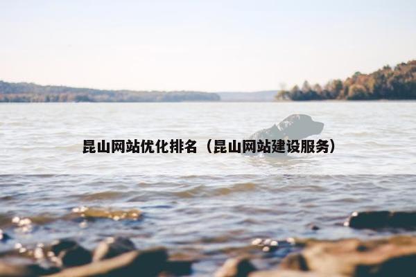 昆山网站优化排名（昆山网站建设服务）