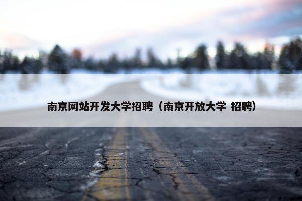南京网站开发大学招聘（南京开放大学 招聘）