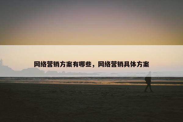 网络营销方案有哪些，网络营销具体方案