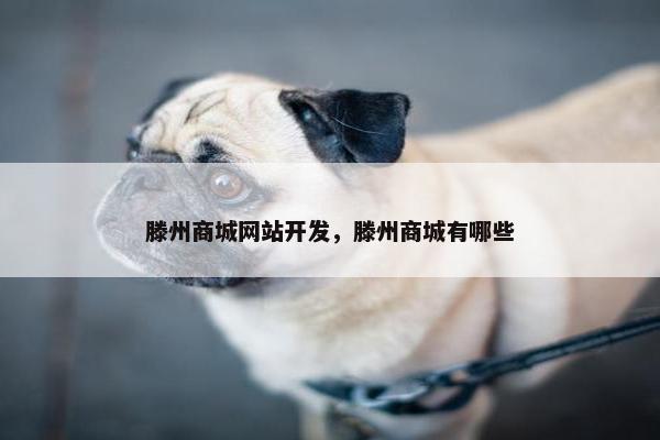 滕州商城网站开发，滕州商城有哪些