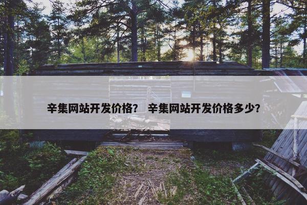 辛集网站开发价格？ 辛集网站开发价格多少？