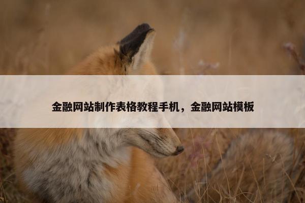 金融网站制作表格教程手机，金融网站模板