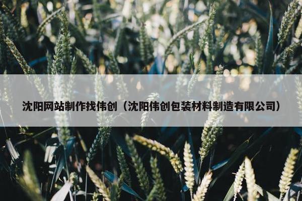 沈阳网站制作找伟创（沈阳伟创包装材料制造有限公司）