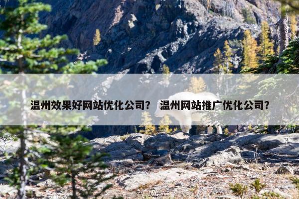 温州效果好网站优化公司？ 温州网站推广优化公司？
