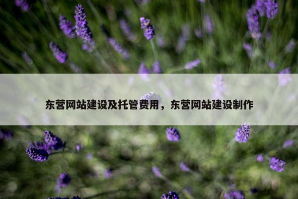 东营网站建设及托管费用，东营网站建设制作