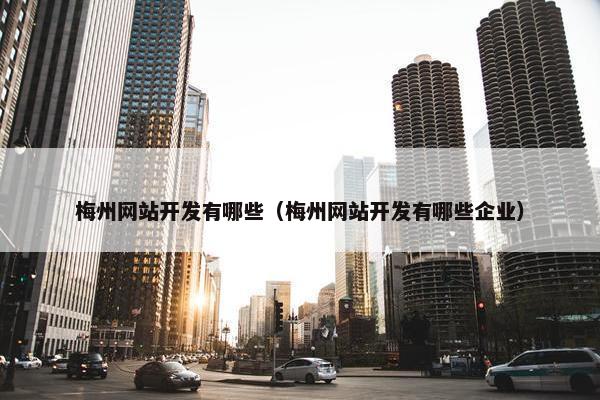 梅州网站开发有哪些（梅州网站开发有哪些企业）