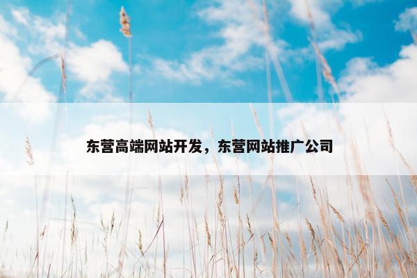 东营高端网站开发，东营网站推广公司