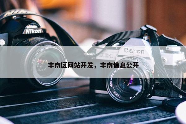 丰南区网站开发，丰南信息公开
