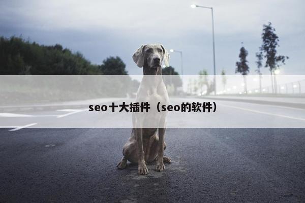 seo十大插件（seo的软件）