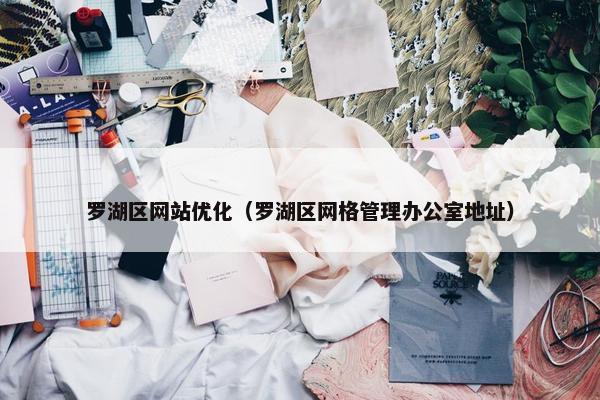 罗湖区网站优化（罗湖区网格管理办公室地址）
