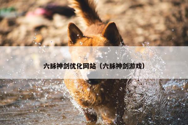 六脉神剑优化网站（六脉神剑游戏）