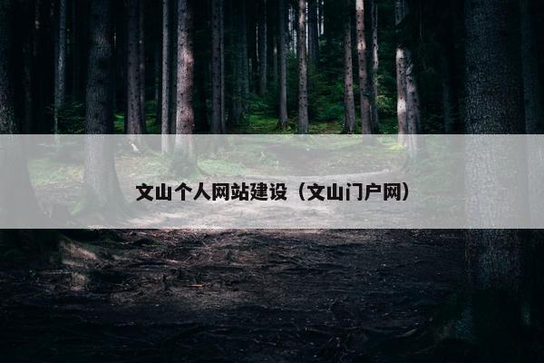 文山个人网站建设（文山门户网）