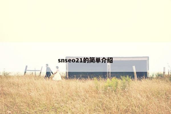 snseo21的简单介绍