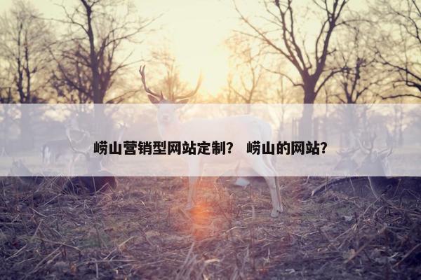 崂山营销型网站定制？ 崂山的网站？