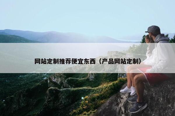网站定制推荐便宜东西（产品网站定制）