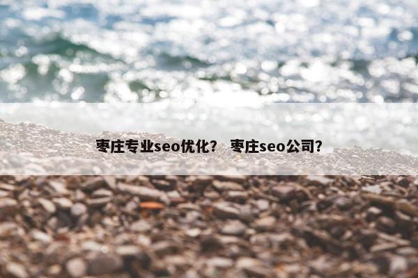 枣庄专业seo优化？ 枣庄seo公司？