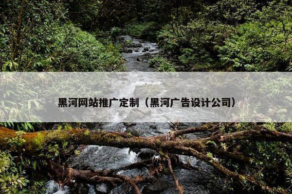 黑河网站推广定制（黑河广告设计公司）