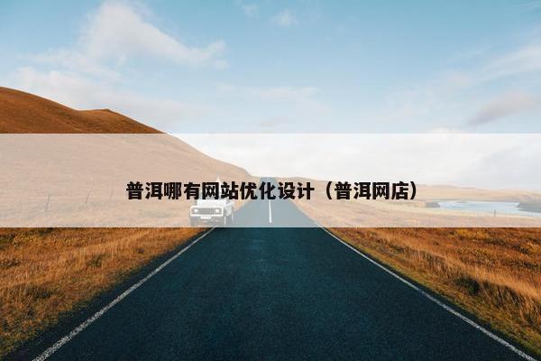 普洱哪有网站优化设计（普洱网店）