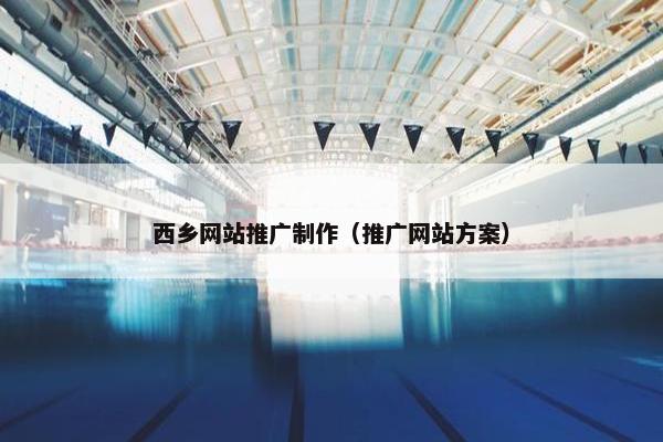 西乡网站推广制作（推广网站方案）