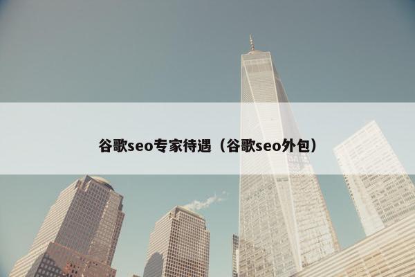 谷歌seo专家待遇（谷歌seo外包）