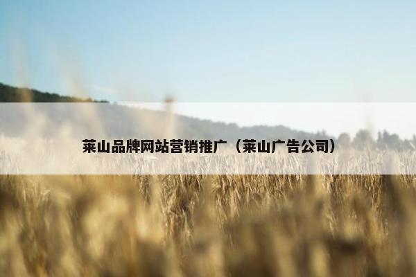 莱山品牌网站营销推广（莱山广告公司）