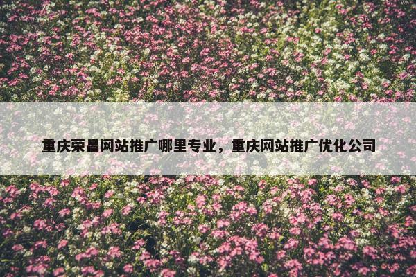 重庆荣昌网站推广哪里专业，重庆网站推广优化公司
