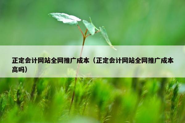 正定会计网站全网推广成本（正定会计网站全网推广成本高吗）