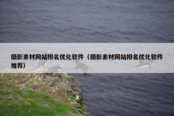 摄影素材网站排名优化软件（摄影素材网站排名优化软件推荐）