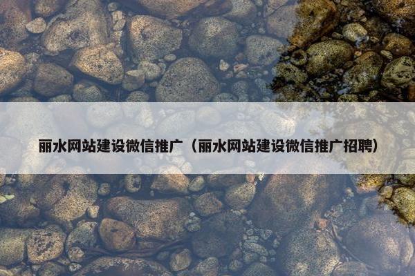 丽水网站建设微信推广（丽水网站建设微信推广招聘）