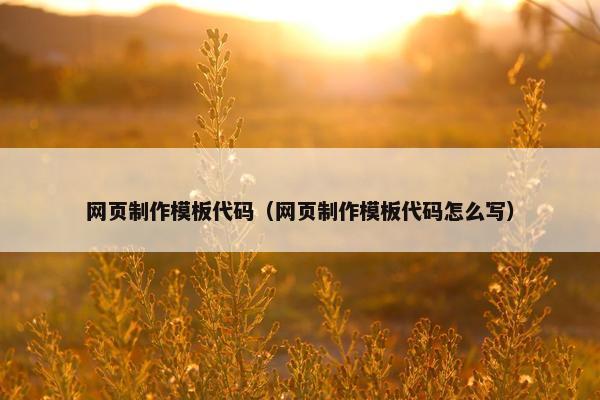 网页制作模板代码（网页制作模板代码怎么写）