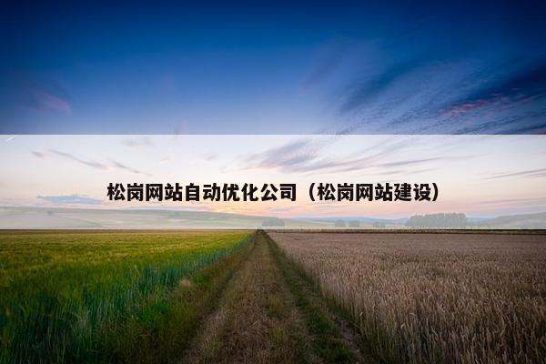 松岗网站自动优化公司（松岗网站建设）
