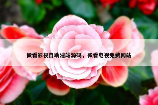 微看影视自助建站源码，微看电视免费网站