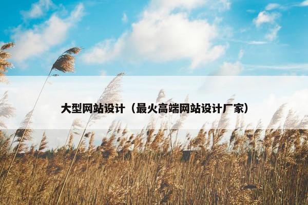 大型网站设计（最火高端网站设计厂家）