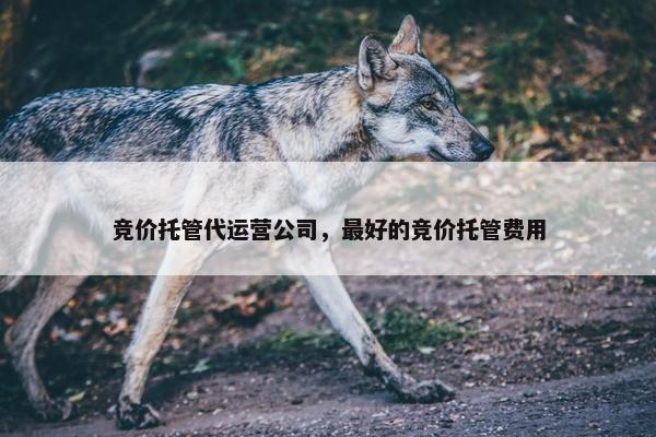 竞价托管代运营公司，最好的竞价托管费用