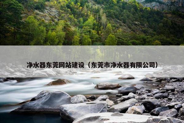 净水器东莞网站建设（东莞市净水器有限公司）