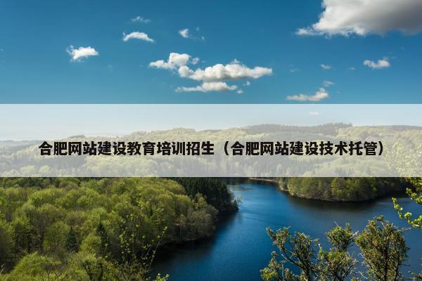 合肥网站建设教育培训招生（合肥网站建设技术托管）